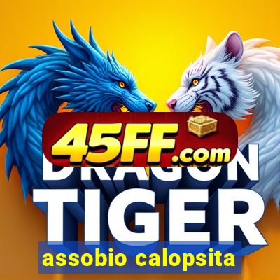 assobio calopsita